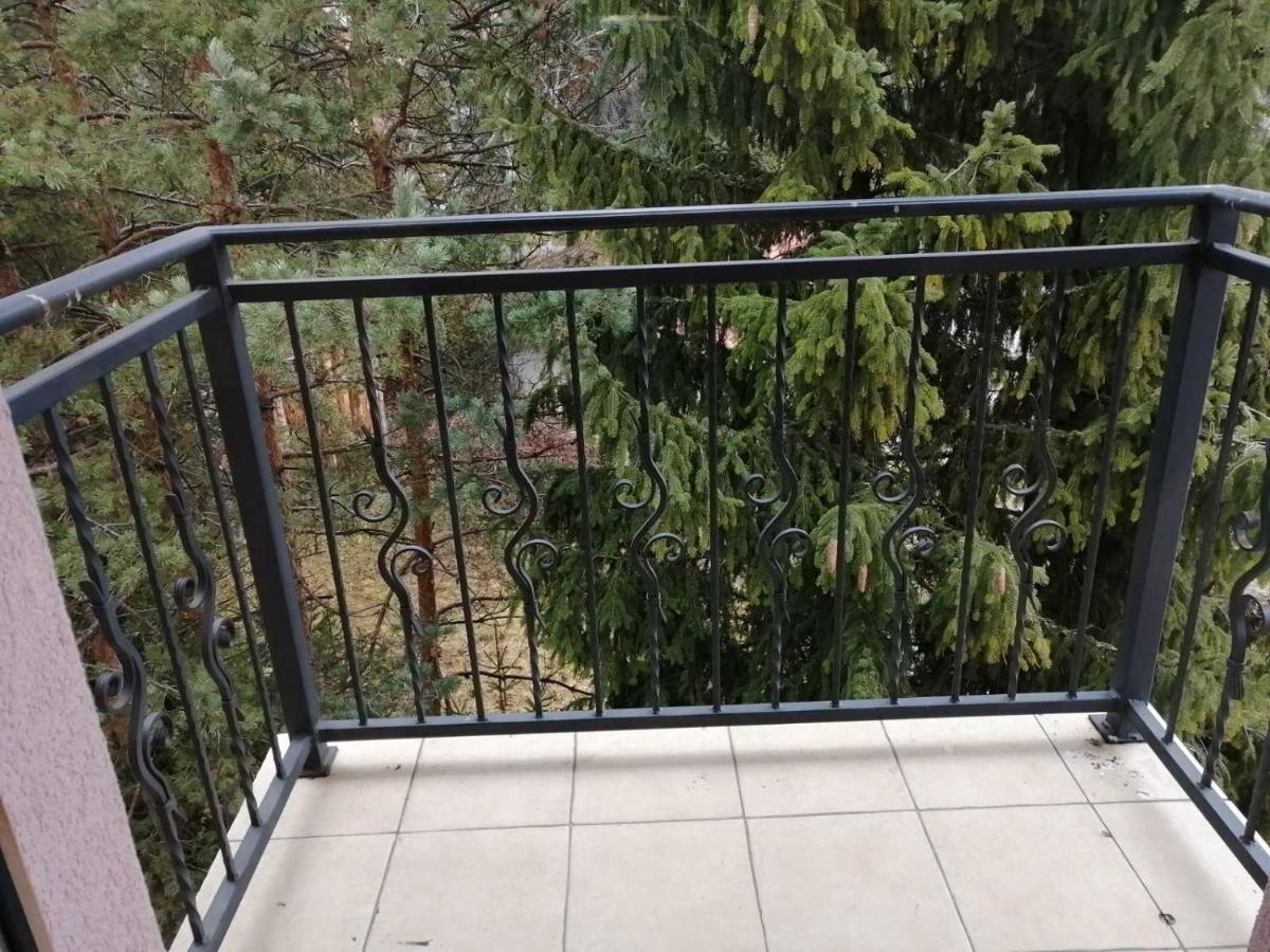 Vila Meridijan Zlatibor Kültér fotó